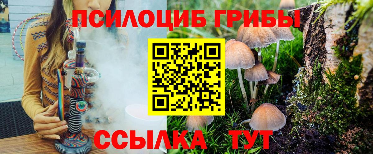 Галлюциногенные грибы GOLDEN TEACHER Чита